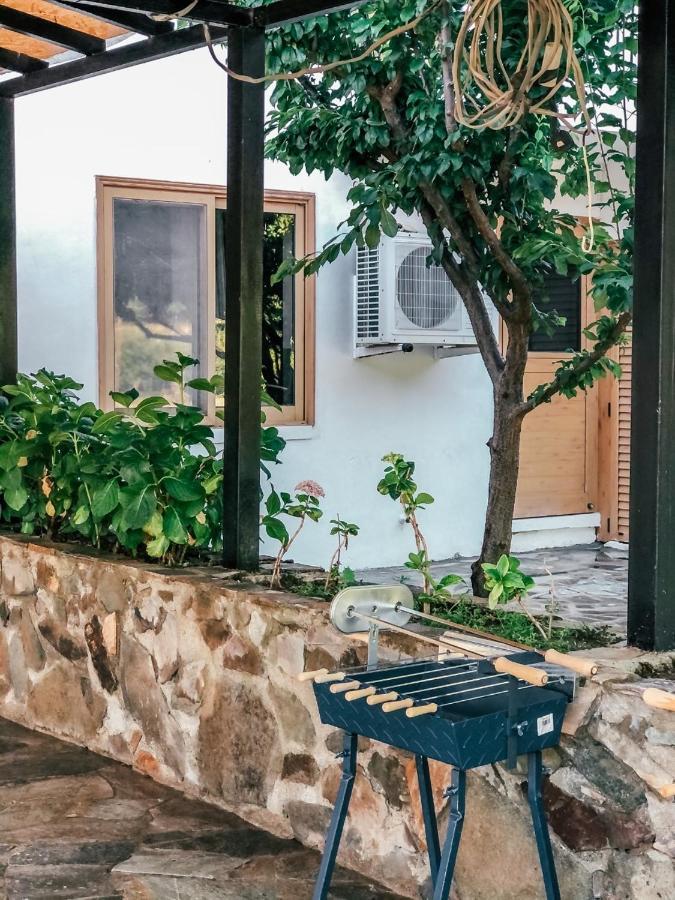 Villa Milea Mansion Limisso Esterno foto